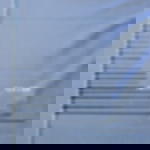 Kabelbinder schwarz - 12,6 mm x 530 mm Kabelbinder schwarz - 12,6 mm x 530 mm