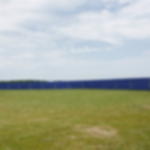 tarpaulin cheap - blue Fence tarp 3.41 x 1.76 m - blue