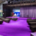 flat felt carpet b1 with foil - purple Flat felt carpet B1 with film covering - purple