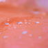 Preview: Disposable Raincape GRIP