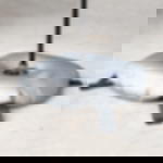 Schlauchgewicht Schlauchgewicht für Beachflag