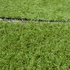 Preview: Lawn carpets B1