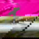 Gummischlaufen - weiß Gummischlaufen mit Knebel - weiß