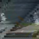 lashing strap black - 1-part lashing strap black - 1-part - 6.00 m x 50 mm