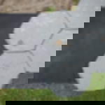 Gummimatte mit Gewebeeinlage Gummimatte mit Gewebeeinlage