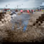 Regencape transparent Regencape transparent - 20 Stück