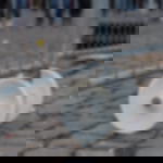 construction fence roll Construction fence rolls for building site fences