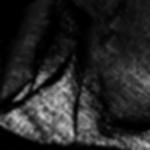 Dekomolton Rolle - black Dekomolton B1 - Rolle 30 m - black