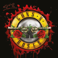 Guns n Roses