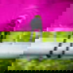 bungee tie with ball closure - black bungee tie with ball closure - black