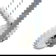 Torrolle für Bauzauntore