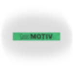 Tennisblende - feinmaschiges, strapazierfähiges HDPE Gewebe bedruckt Grafische Darstellung einer grünen Tennisblende 12 x 2 m mit zentralem schwarzen Logodruck auf textiler Struktur