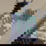 Hohlkammerplatten bedruckt - DIN A1 Hohlkammerplatte DIN A1 / A2 / A3 - DIN A1