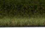 Rasenteppich grün - 4 m Rasenteppich grün 4 x 30 m - 4 m