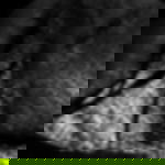 Dekomolton Rolle - lichtdurchlässiger Stoff für Dekoration Bildfüllende Nahaufnahme eines locker gehängten, schwarzen Dekomoltons mit ungleichmäßger Hinterleuchtung