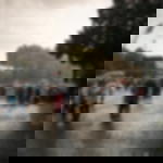 Regencape transparent Regencape transparent - 20 Stück