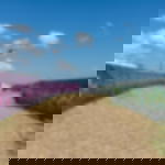 endless nonwovens - 2-coloured endless nonwovens - 2-coloured - 80 cm - 250 cm