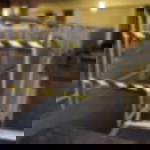 Warnklebeband - schwarz-gelb Warnklebeband GT 800 - schwarz-gelb