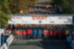 PVC Banner Frontlit PVC 450 g/m²