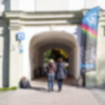 have beachflag printed - L Beachflag Premium Curved - L