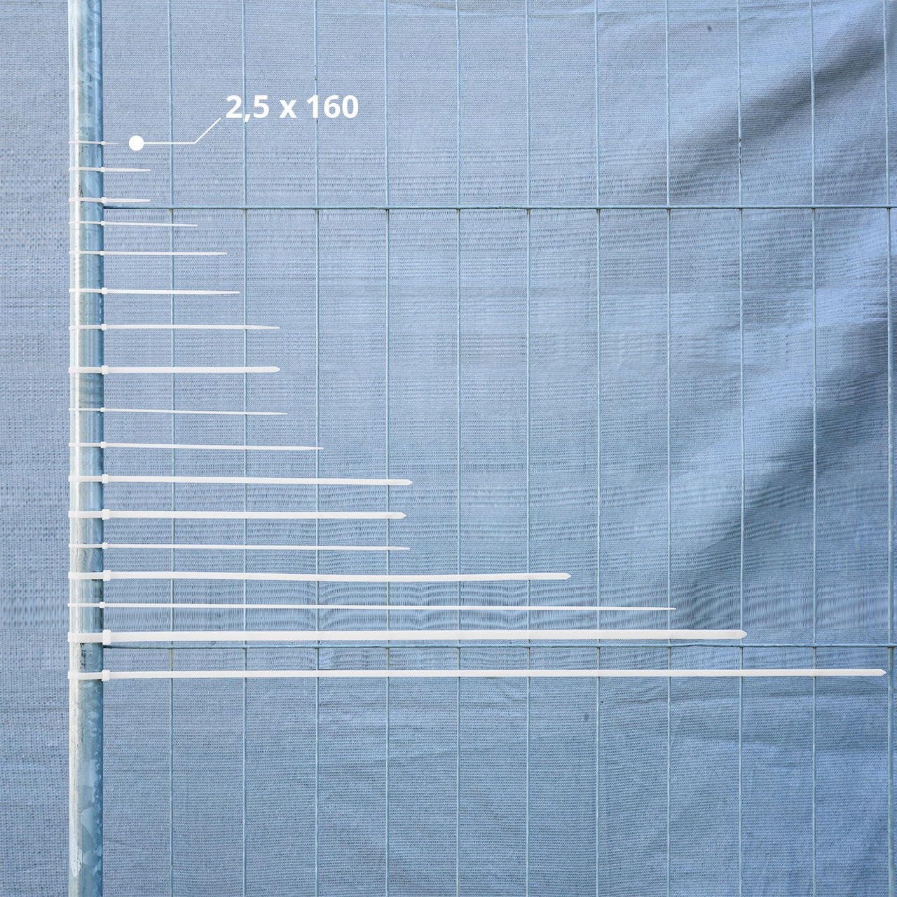 cable ties white - 2.5 mm x 160 mm