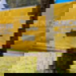 printed hollow-chamber plates - DIN A2 Hollow chamber plate DIN A1 / A2 / A3 - DIN A2