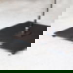 Beachflag Bodenplatte - L Beachflag Bodenplatte - L