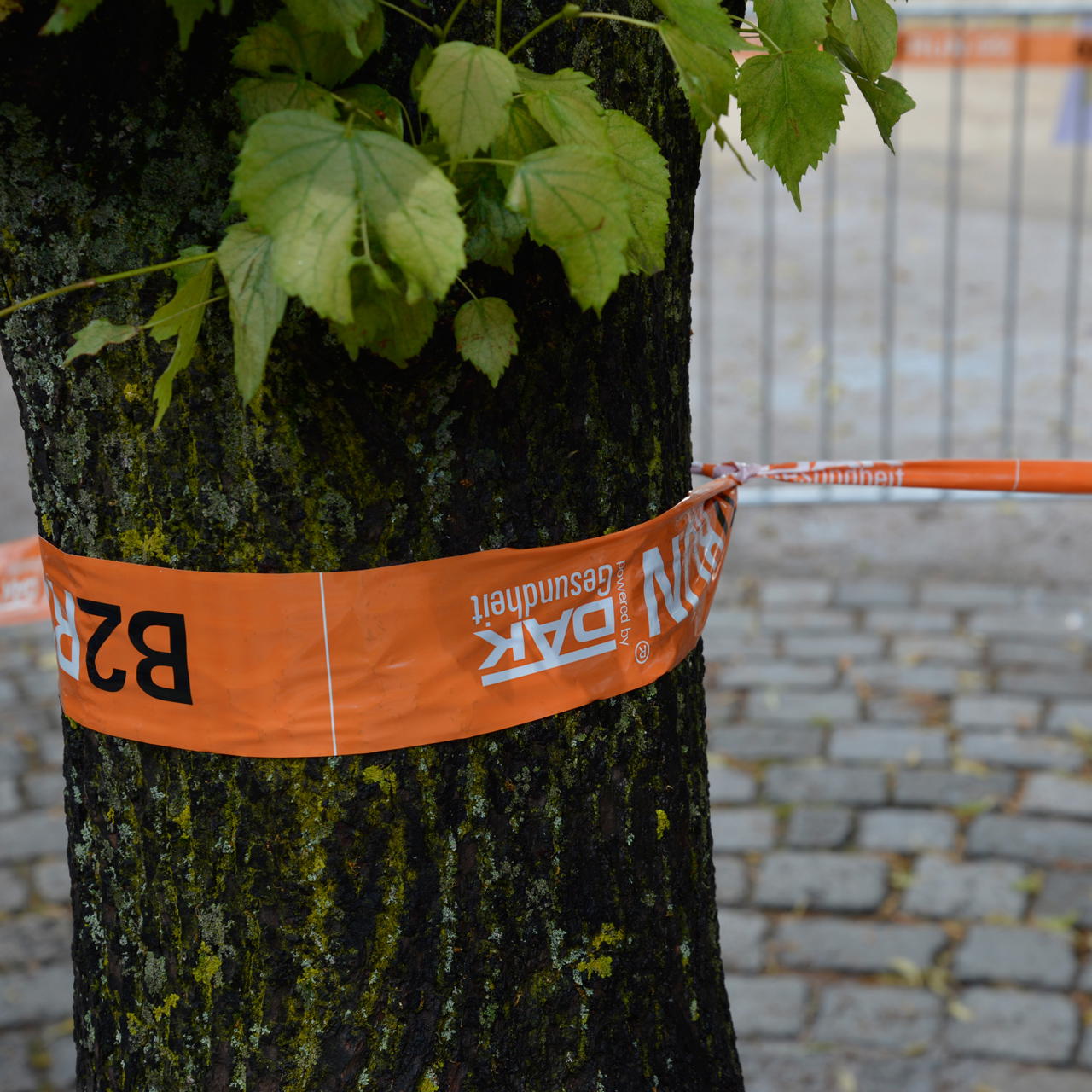 Barrier tape with customised print  - 1-colour (according to Pantone)