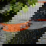 Absperrband bedruckt - 1-farbig (nach Pantone) Absperrband individuell bedruckt  - 1-farbig (nach Pantone)