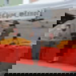 lacquer foil roll - white lacquer foil roll - white