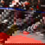 Gurtpfosten  - rot Premium Gurtpfosten - Edelstahl - rot