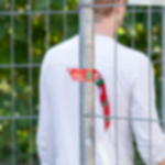 Bruchsiegel für Bauzaun Bruchsiegel für Bauzaun