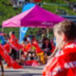 folding pavilion printed Folding pavilion PROMO - printed (frame with roof)