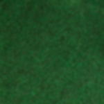 Messeteppich B1 - dunkelgrün meliert Rips Messeteppich dunkelgrün meliert 2 x 50 m - dunkelgrün meliert