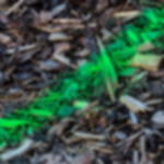 chalk spray cheap - neon green Chalk spray GRIP - neon green